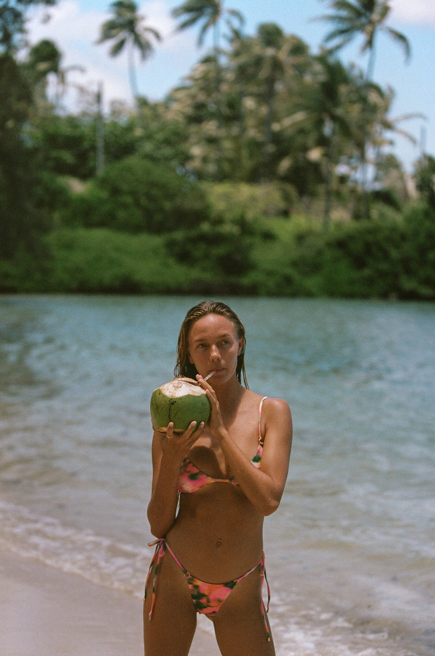 Rio Bottom Tropicana